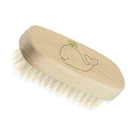 Green Sprouts Baby Nail Brush Stage 1  - 1 Ct, 2 Pack