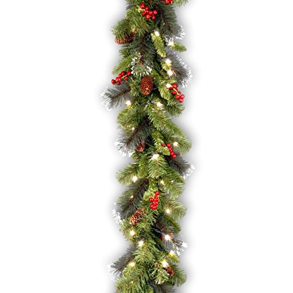 National Tree 9 Foot by 10 Inch Crestwood Spruce Garland with 50 Warm White Battery Operated LED Lights (CW7-306-9A-B1)