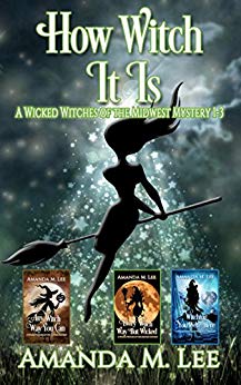 How Witch It Is: Wicked Witches of the Midwest Books 1-3 (Wicked Witches of the Midwest Box-Set Book 1)