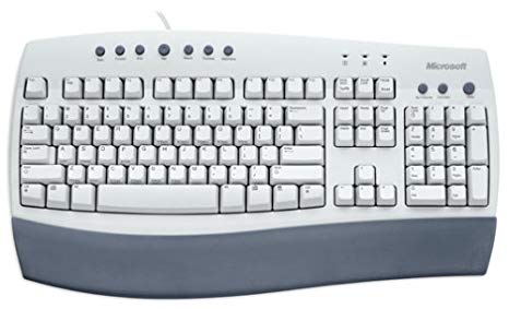 Microsoft Internet Keyboard, PS/2 Interface