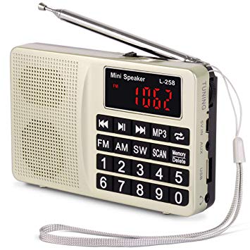 PRUNUS Portable SW/FM/AM (MW)/MP3/USB/SD/TF Radio. Large Button and Large Display. Stores Stations Automatically. Allowing The User to Play Stored MP3 Files. (No Manual Memory Stations Function)