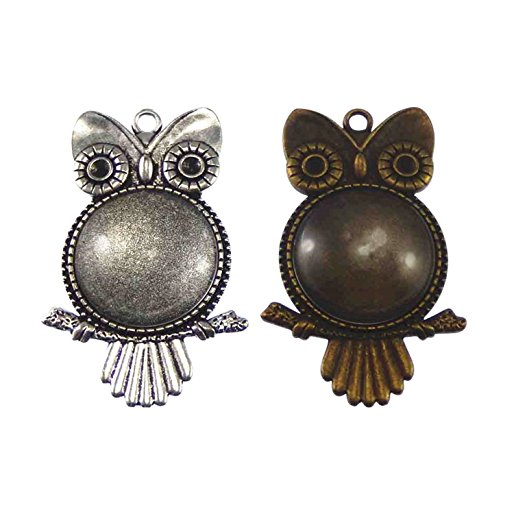 JulieWang 10 Sets Mixed Bronze Silver Owl Setting Tray Pendant with Glass Cabochons for Jewelry Making