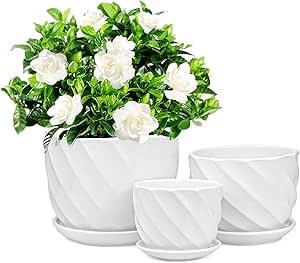 Foraineam Set of 3 Round Modern Ceramic Planter Pot Small to Large Sized Garden Flower Plant Pots White Succulent Cactus Containers with Drainage and Saucer