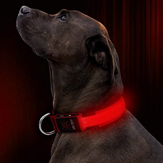 Illumifun LED Dog Collar, USB Rechargeable Nylon Webbing Adjustable Glowing Pet Safety Collar, Reflective Light Up Collars for Your Dogs