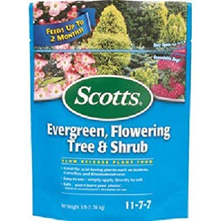 Scotts Continuous Release Evergreen Flowering Tree and Shrub Fertilizer, 3-Pound (Not Sold in Pinellas County, FL) (2 Pack)