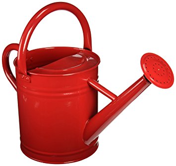 Gardener's Select AW3003P6PR   Watering Can, Red, 3.5 L