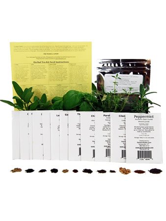 Medicinal Herb Seed Assortment - Non-GMO Healing Herb Seeds - Burdock, Cayenne, Yarrow, Chamomile, Hyssop, Echinacea, More