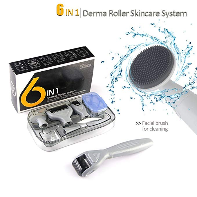 6-in-1 Derma Roller (0.25   0.5   1.0 mm ) with 300 720 1200 Titanium Micro Needles. Best Skin Derma Roller Kit with Interchangeable Roller Heads for Face, Eyes, Body. Reduces Wrinkles, Stretch Marks, Scars, Pores, Cellulite …