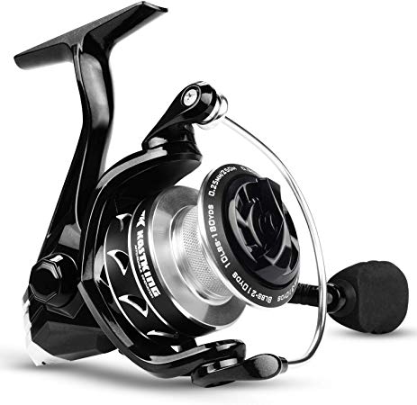 KastKing Valiant Eagle Series Spinning Reel - Bald Eagle Edition Fishing Reel, All Carbon Fiber Frame and Rotor, Never-Rust 1-Piece Bail, 6.2:1 High Speed Gear Ratio, Freshwater and Saltwater.