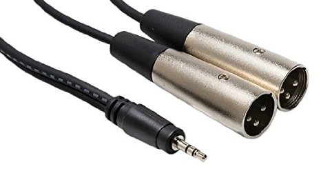 Hosa CYX-403M 3.5 mm TRS to Dual XLR3M Stereo Breakout Cable, 9.8 feet