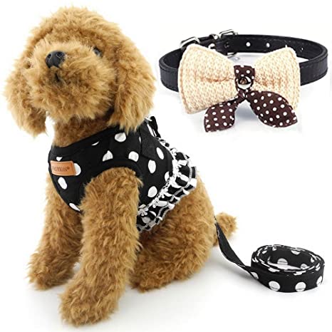 Cute Small Dog Harness, Ladies Polka Dots Dog Vest Harness Set with Pink Leash and Bowknot Collar, 3 in 1 Girl Style Vest Harness Set for Puppy and Cat (M, Black)