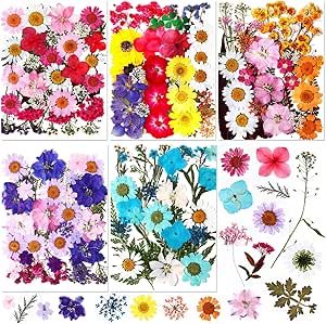 Nuanchu 167 Pcs Real Dried Pressed Flowers Natural Dried Flowers Colorful Dry Daisy Flowers Mixed Dried Flowers for DIY Candle Resin Nails Jewelry Pendant Crafts Floral Art (Bright Color)