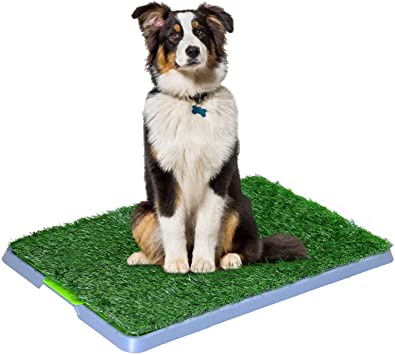 CDH Pet Potty Dog Grass Pee Potty Pad,Artificial Grass Indoor Dog Potty,Potty Training Grass Pad for Dogs (17"x27")