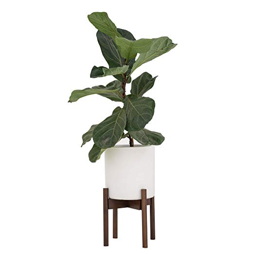 Sona Home Adjustable Mid Century Plant Stand | Available in 3 Sizes, 3 Colors | Stylish & Versatile Modern Plant Stand for Indoor & Outdoor Use | Planter Stand Only