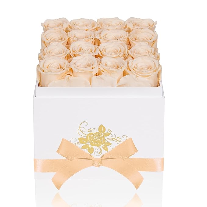 Perfectione Roses Luxury Preserved Roses in a Box, Forever Real Roses That Last Up to 3 Years Mothers Day Valentines Day Gifts for Her Birthday Gifts (Buttermilk)