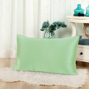 Taihu Snow 19mm Mulberry Silk Pillowcase for Face, Hair and Skin Beauty, Standard Size, Queen 20"*30", Slow Green