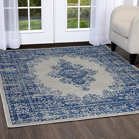 Home Dynamix Vintage Shilah Area Rug 7'9"x10'2", Distressed Gray/Blue