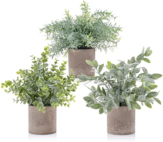 Kingsley Set of 3 Mini Potted Eucalyptus Rosemary Boxwood House Plants Small Decor Fake Artificial Greenery for Home Office Living Room Wedding Decor