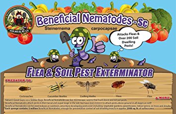 50 Million Live Beneficial Nematodes Sc - Flea and Fly Exterminator