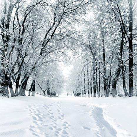SJOLOON 10X10ft Winter Snow Photography Backdrop Customized Vinyl Photo Background Studio JLT-9207