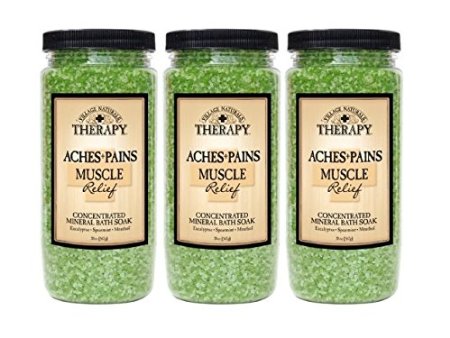 Village Naturals Therapy Aches & Pains Muscle Relief Mineral Bath Soak 20 Oz (3-pack)
