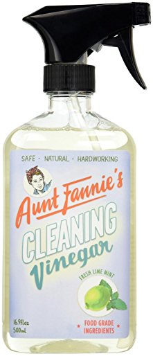 Aunt Fannie's Cleaning Vinegar, Fresh Lime Mint, 16.9 Ounce