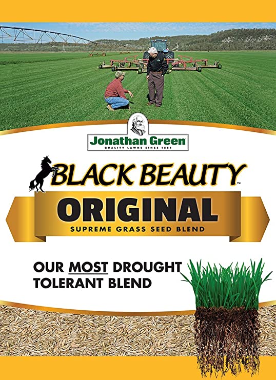 Jonathan Green 40318 Black Beauty Grass Seed, 5 lb