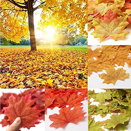 SunAngel Package of Approximately 350 Assorted Rich Fall Colored Silk Maple Leaves for Weddings, Events and Decorating (7Multicolor, 350pcs)