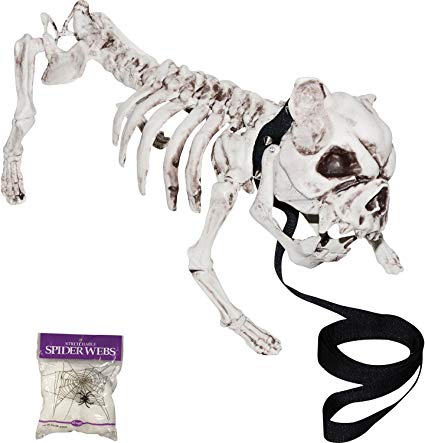 Bundle: 2 Items - Skeleton Dog and Free Spider Web (Comes with Free How to Live Stress Free Ebook)