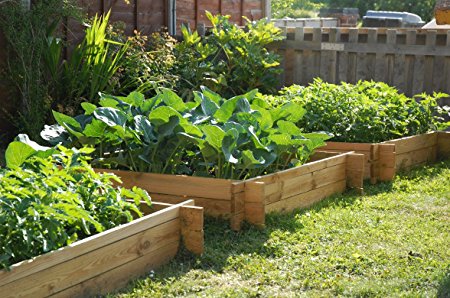 The Chamberlain Wooden Raised Grow Bed - 1m x 1m
