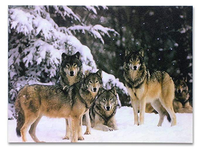 BANBERRY DESIGNS Wolf Pack LED Lighted Canvas Print Home Decor - Pack of Grey Wolves in a Snowy Winter Forest Scene - 16x12 Inch