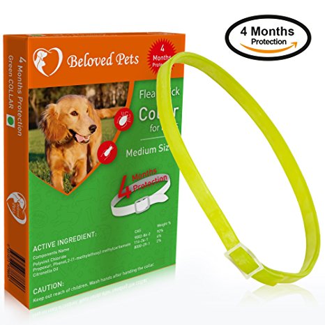 Beloved Pets Flea Collar (100% Safe and effective) - Flea Control Collar for Dogs and Puppies. Quick and long lasting protection. Kills Flea, Ticks and bugs effectively, Safe for human and Pets’ Skin.
