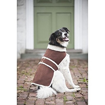 Fashion Outdoor Dog Shearling Coat