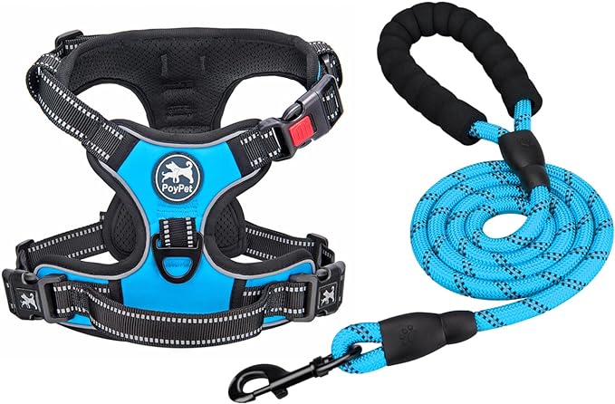 PoyPet Dog Harness and Leash Combo, Escape Proof No Pull Vest Harness, with 5 Feet Leash, Reflective Adjustable Soft Padded Pet Harness with Handle for Small to Large Dogs(Blue,M)