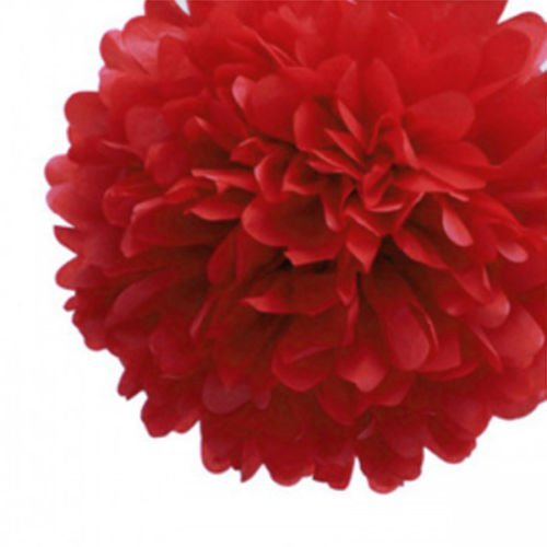 LingsFire® 10 Pack 10 Inch Tissue Paper Flower Ball Pom-poms For Party / Wedding / Home / Outdoor Decoration (Red)