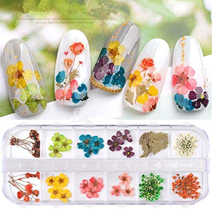 12 Color Nail Art Nature Dry Flowers Set Gel Polish Tip 3D DIY Floral Slices Decal Pro Manicure Pedicure Decor Newest Kit Natural Dried Petal Nail Art Decoration
