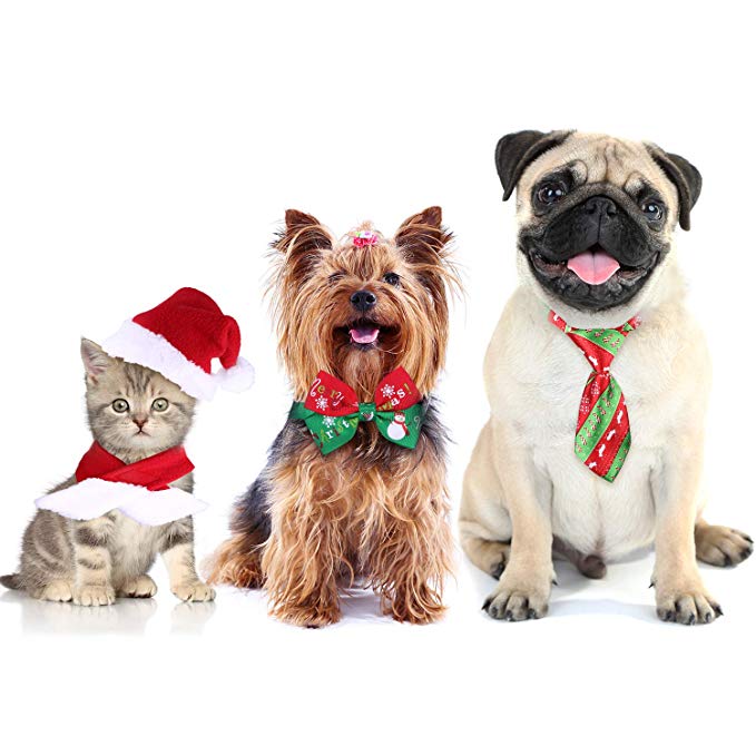 Tatuo 4 Pieces Christmas Pet Costume Cat Santa Hat Scarf and Collar Bow Necktie for Kitten Puppy Small Pets