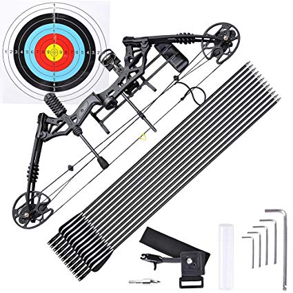 AW Pro Compound Right Hand Bow Kit w/12pcs Carbon Arrow Adjustable 20-70lbs Archery Set