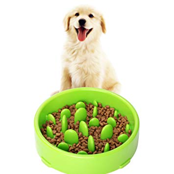 JASGOOD Slow Feeder Dog Bowl New Arriving Fun Feeder Slow Feeding Interactive Bloat Stop Dog Bowls