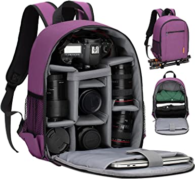 TARION Camera Bag Professional Camera Backpack Case with Laptop Compartment Waterproof Rain Cover for DSLR SLR Mirrorless Camera Lens Tripod Photography Backpack for Women Men Photographer Purple TB-S