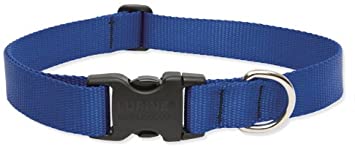 LupinePet 1 Inch Adjustable Dog Collar for Medium to Large Dogs