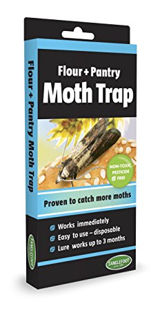 Tanglefoot 300000127 Flour & Pantry Moth Trap