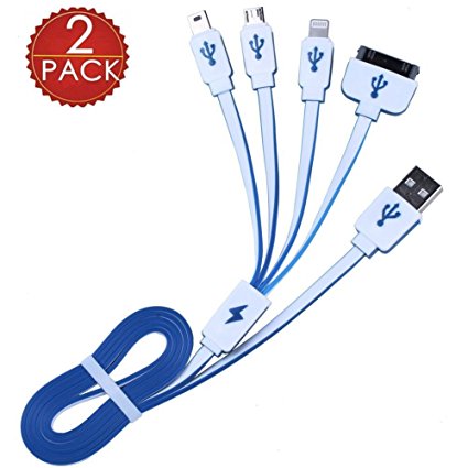 Winsword Multi Charger, 2 Pack (3.3ft) 4 in 1 Multiple USB Charging Cable Adapter with 8 Pin Lightning / 30 Pin / Micro USB 2.0 / Mini USB Ports for iPhone, iPad, Samsung and Android Phones and More