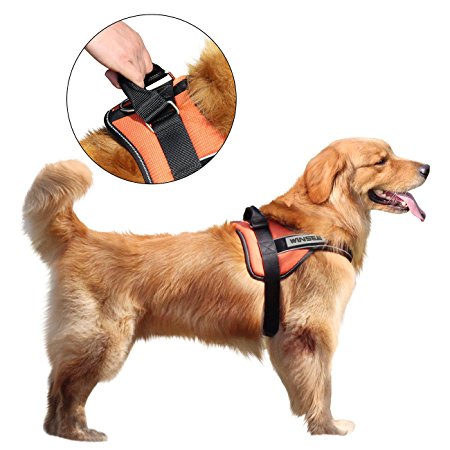 WINSEE No Pull Harness, Pet Vest Harness Adjustable Dog Harness with Handle for Dogs (Orange)