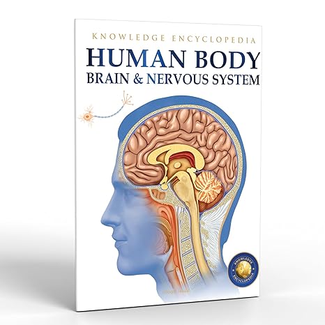 Human Body: Brain And Nervous System (Knowledge Encyclopedia For Children)