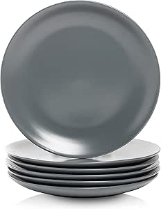 10 Strawberry Street Wazee Matte 10.5" Coupe Dinner Plate, Set of 6, Charcoal Gray