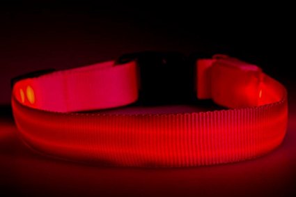 Great-Dealz LED dog Collar to Keep Your Dog Safe  – Flashing Dog Collar with Extra Batteries