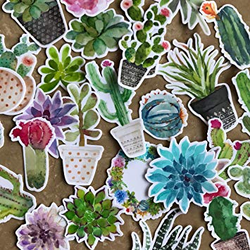 Adorable Watercolor Cactus and Succulent Plants Stickers for Your Laptop, Scrapbook, and Daily Planner by Navy Peony (28 Pieces)