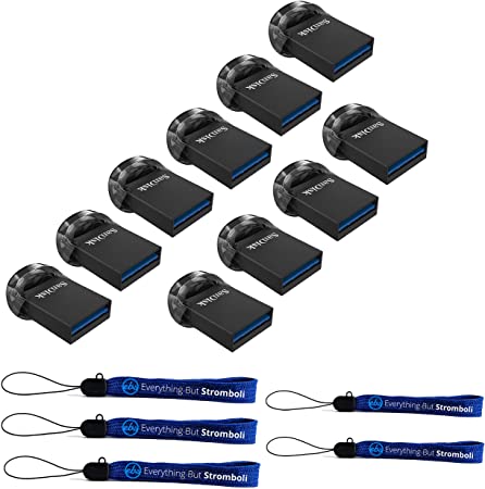 SanDisk 32GB Ultra Fit USB 3.1 Low-Profile Flash Drive (10 Pack Bundle) SDCZ430-032G-G46 32G Pen Drive - with (5) Everything But Stromboli (TM) Lanyard