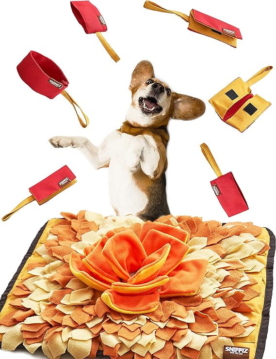 Sniffiz SmellyMatty Snuffle Mat for Dogs - Interactive Food IQ Enrichment Puzzle Toy Package (Large Nosework Orange Mat   Mini Treat Puzzles X 6) - Mind Stimulating Brain Games for Boredom